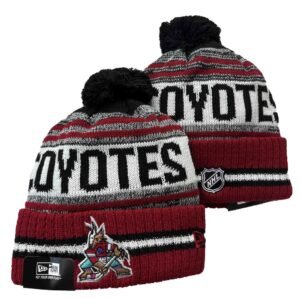 Minnesota Wild Beanies Knit Hat